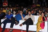 Fidaa Movie Sambaralu Photos